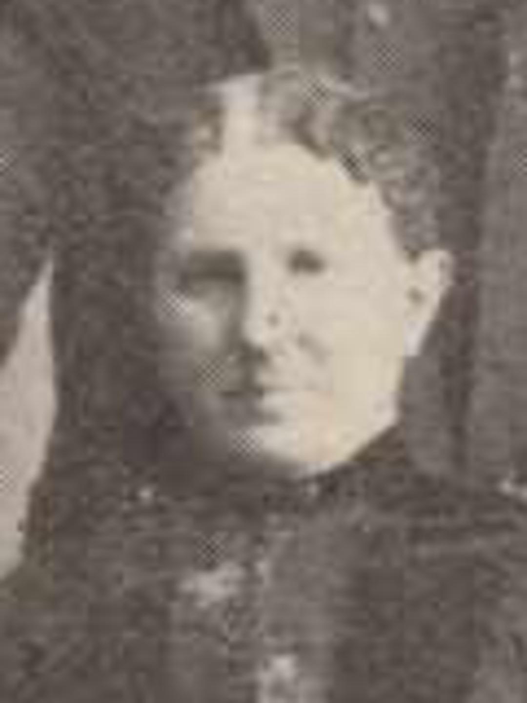 Nancy Augusta Ferguson (1843 - 1925) Profile